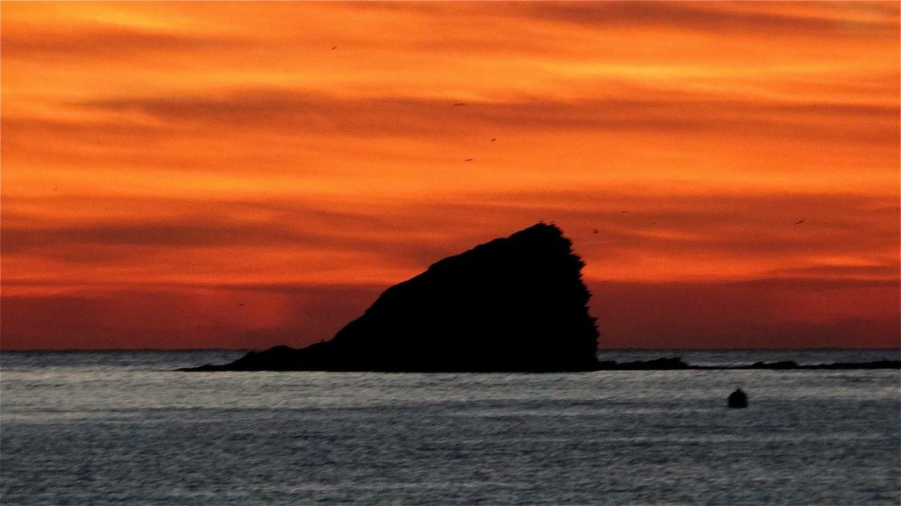 Es Volca Leilighet Cadaqués Eksteriør bilde