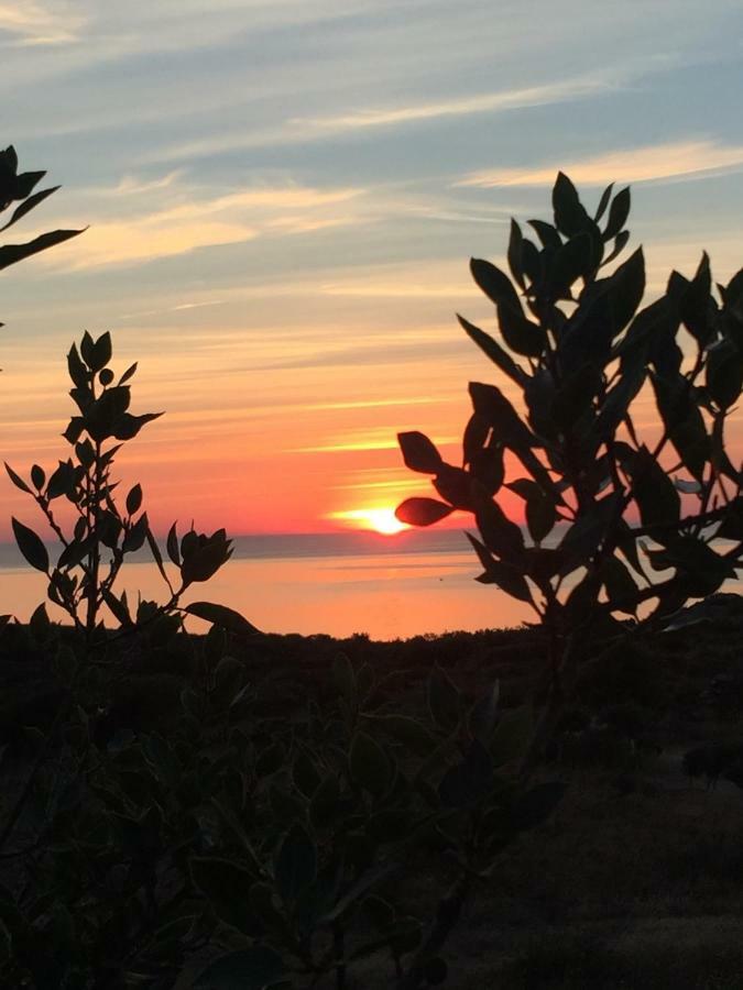 Es Volca Leilighet Cadaqués Eksteriør bilde